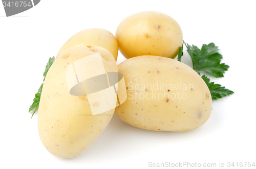 Image of New potatoes and green parsley