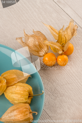 Image of Physalis fruits