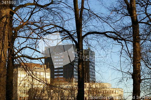 Image of From Slottsparken in Oslo