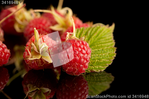 Image of Fresh raspberries