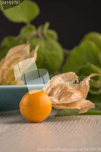 Image of Physalis fruits