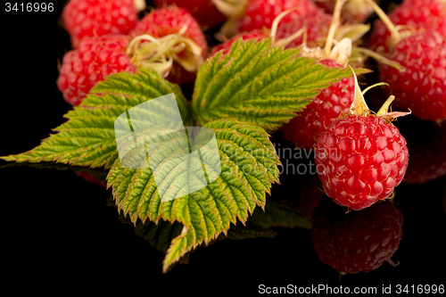 Image of Fresh raspberries