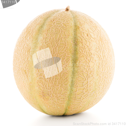 Image of Honeydew melon