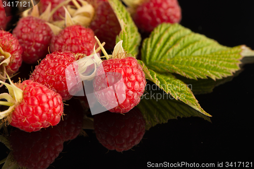 Image of Fresh raspberries