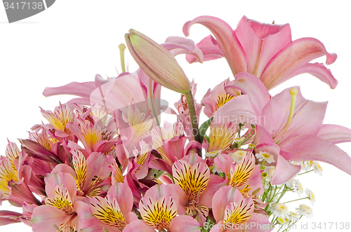 Image of Pink lilies