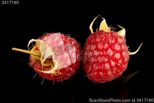 Image of Fresh raspberries