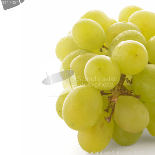 Image of Green grapes