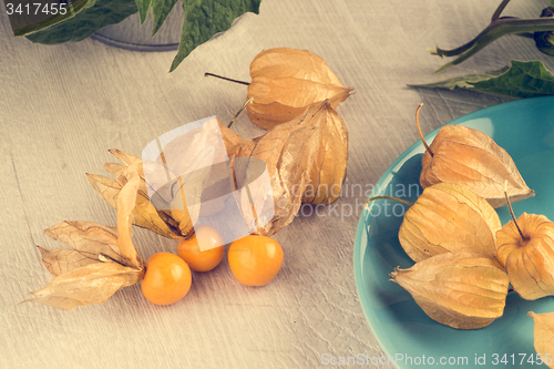 Image of Physalis fruits