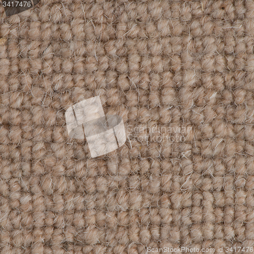 Image of Brown carpet