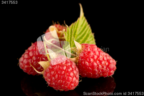 Image of Fresh raspberries