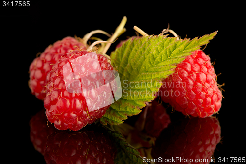 Image of Fresh raspberries