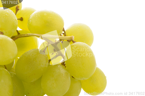 Image of Green grapes