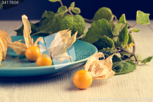 Image of Physalis fruits