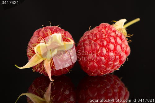 Image of Fresh raspberries