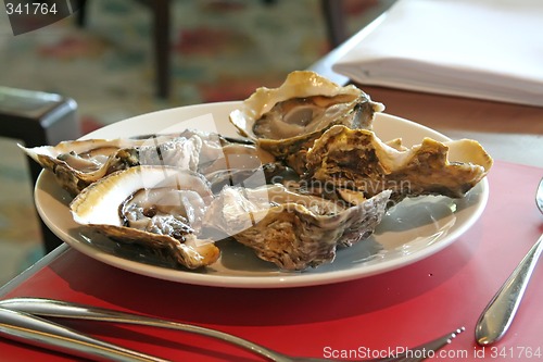 Image of Fresh oysters