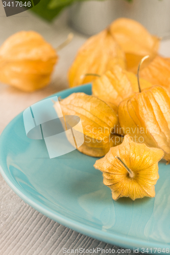 Image of Physalis fruits