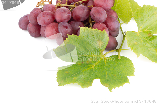 Image of Bunch of red grapes