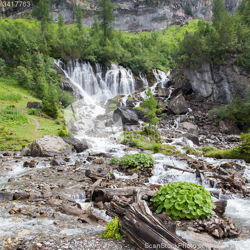 Image of Waterfall in the forest