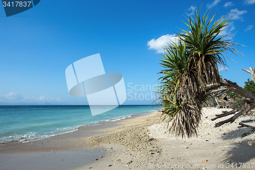 Image of dream beach, Bali Indonesia, Nusa Penida island