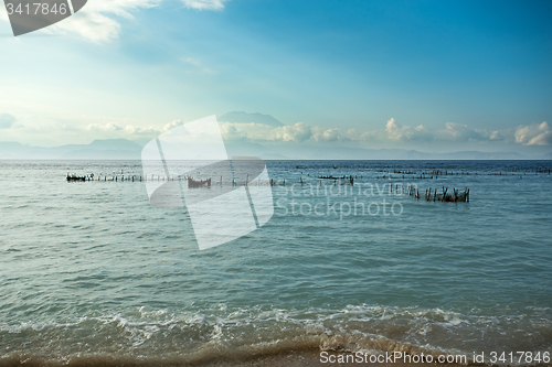 Image of Plantations of seaweed on beach, Algae at low tide