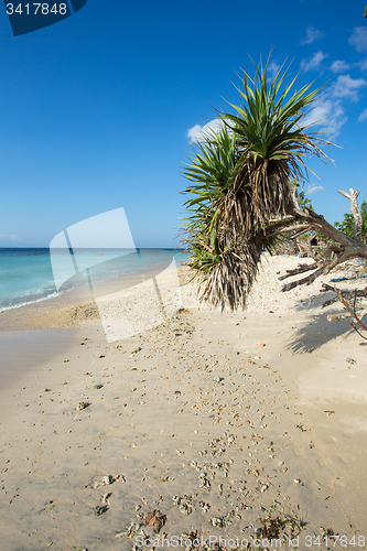 Image of dream beach, Bali Indonesia, Nusa Penida island
