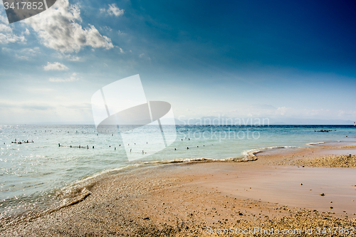 Image of Plantations of seaweed on beach, Algae at low tide