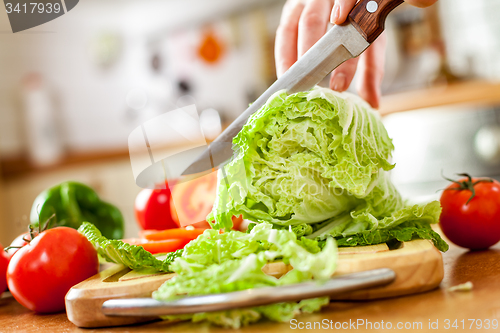 Image of Woman\'s hands cutting vegetables