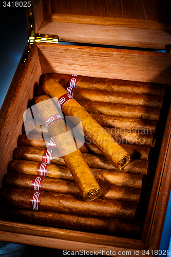 Image of Cigars in humidor