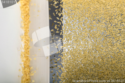 Image of Pasta production line