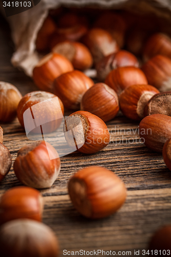 Image of Hazelnuts