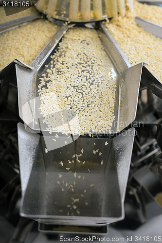 Image of Pasta manufacturing