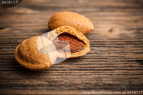 Image of Almond