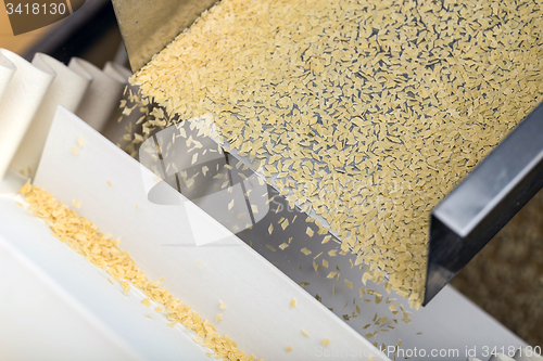 Image of Pasta production line 