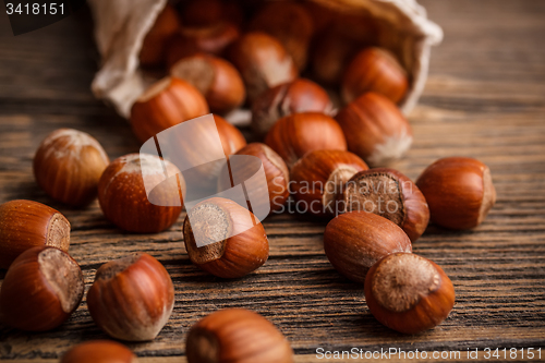 Image of Hazelnuts