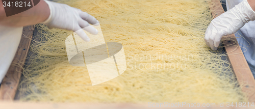 Image of Processed pasta