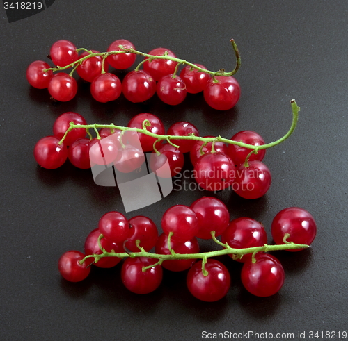 Image of red currant