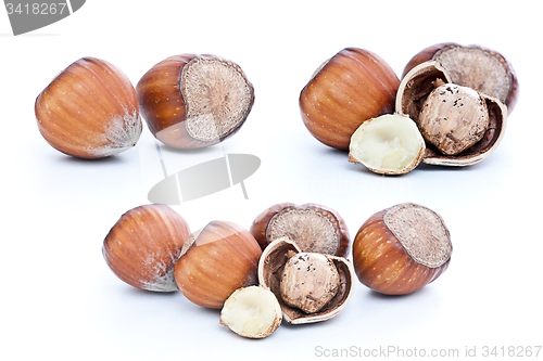 Image of nuts