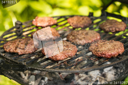 Image of Beef burgers