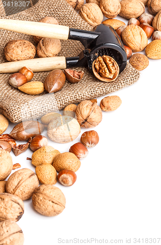Image of Varieties of nuts