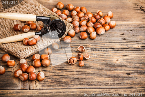 Image of Hazelnuts