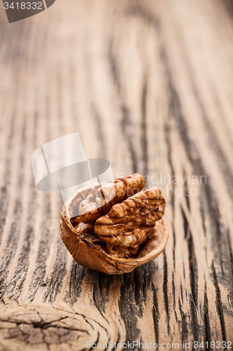 Image of Walnut fruit