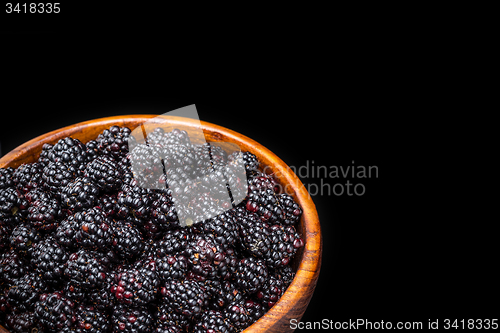 Image of Blackberries