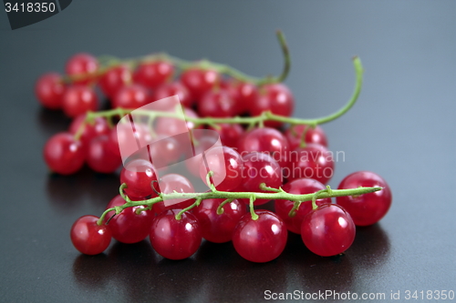 Image of red currant