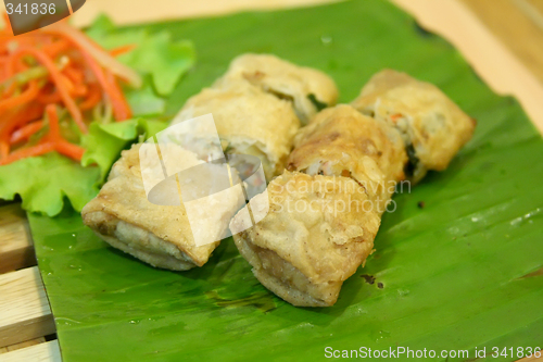 Image of Vietnamese spring rolls