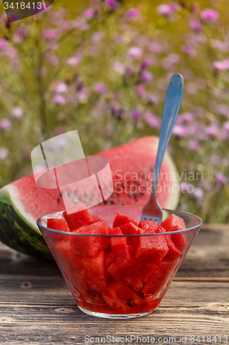 Image of Cube of watermelon