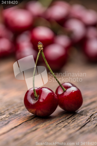 Image of Sour cherry 
