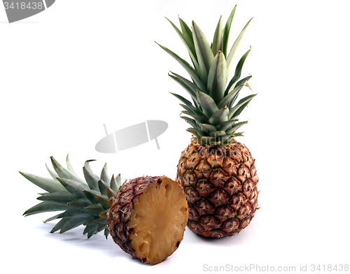 Image of Pineapple