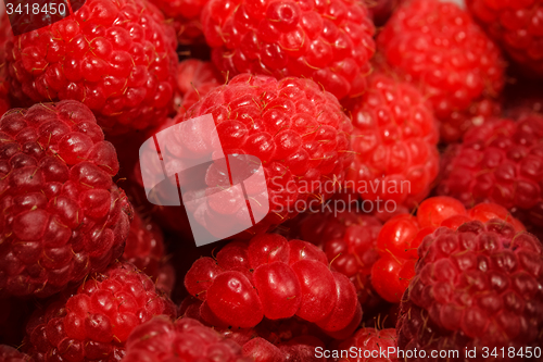 Image of Raspberry 