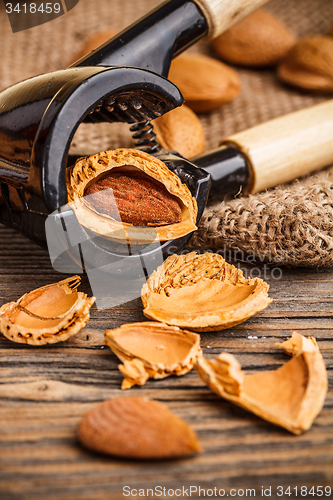 Image of Almonds