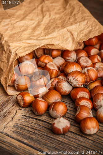 Image of Tasty hazelnuts